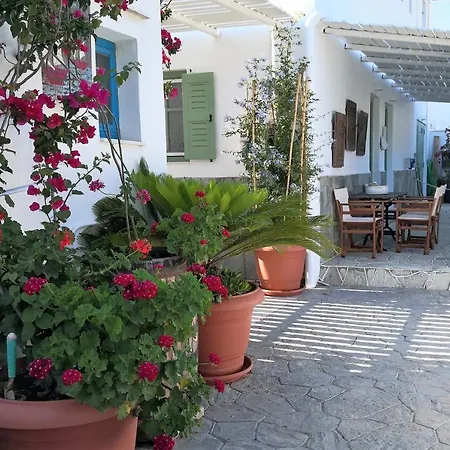 Apartmán Comfort 20meters From The *